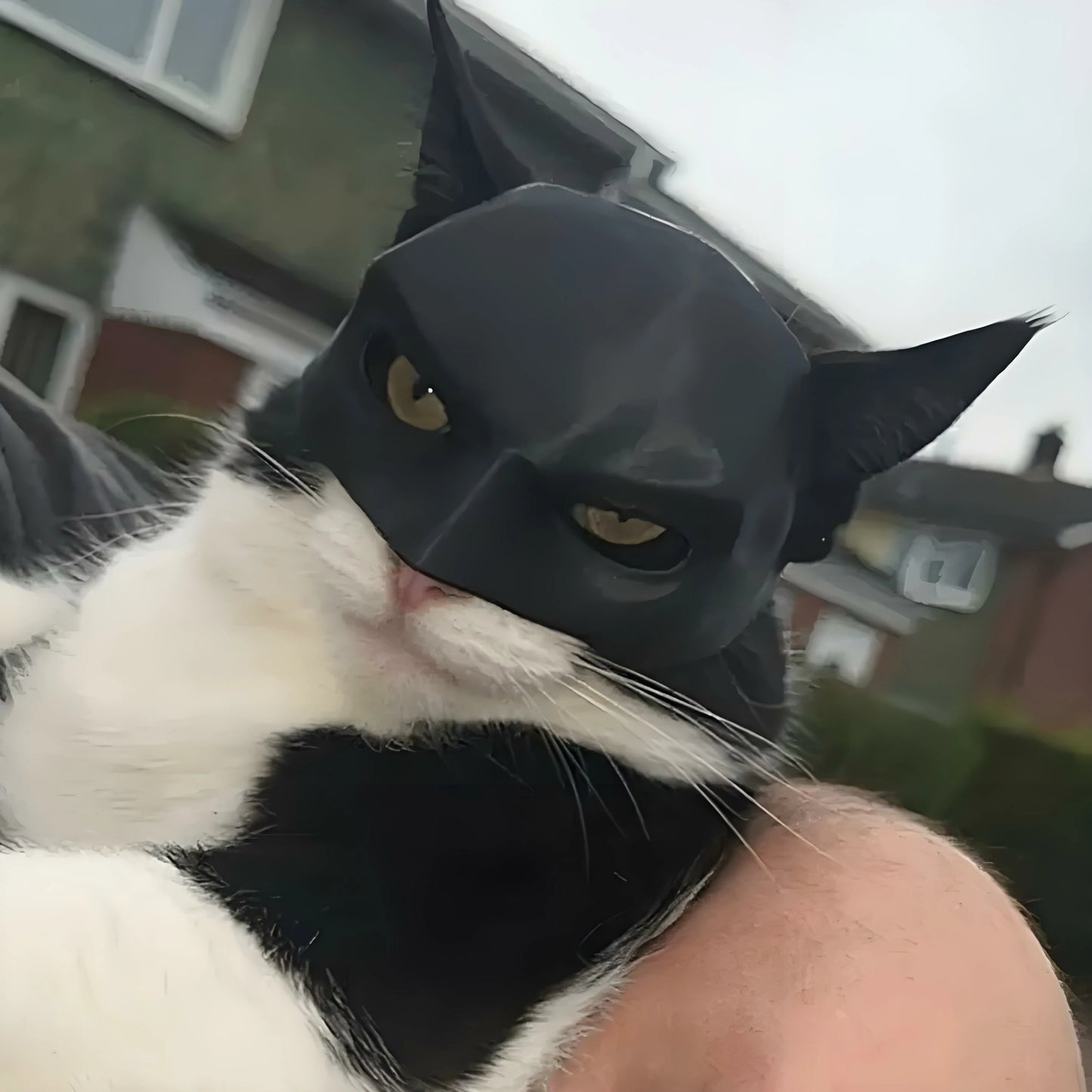 The FUNDrive™-Batcat Mask