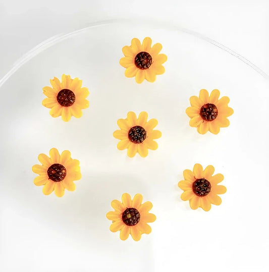 Sunflower orange-yellow