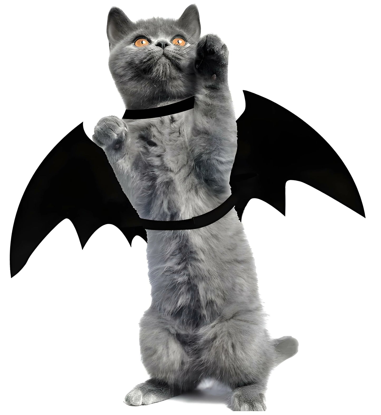 The FUNDrive™-Batcat Mask